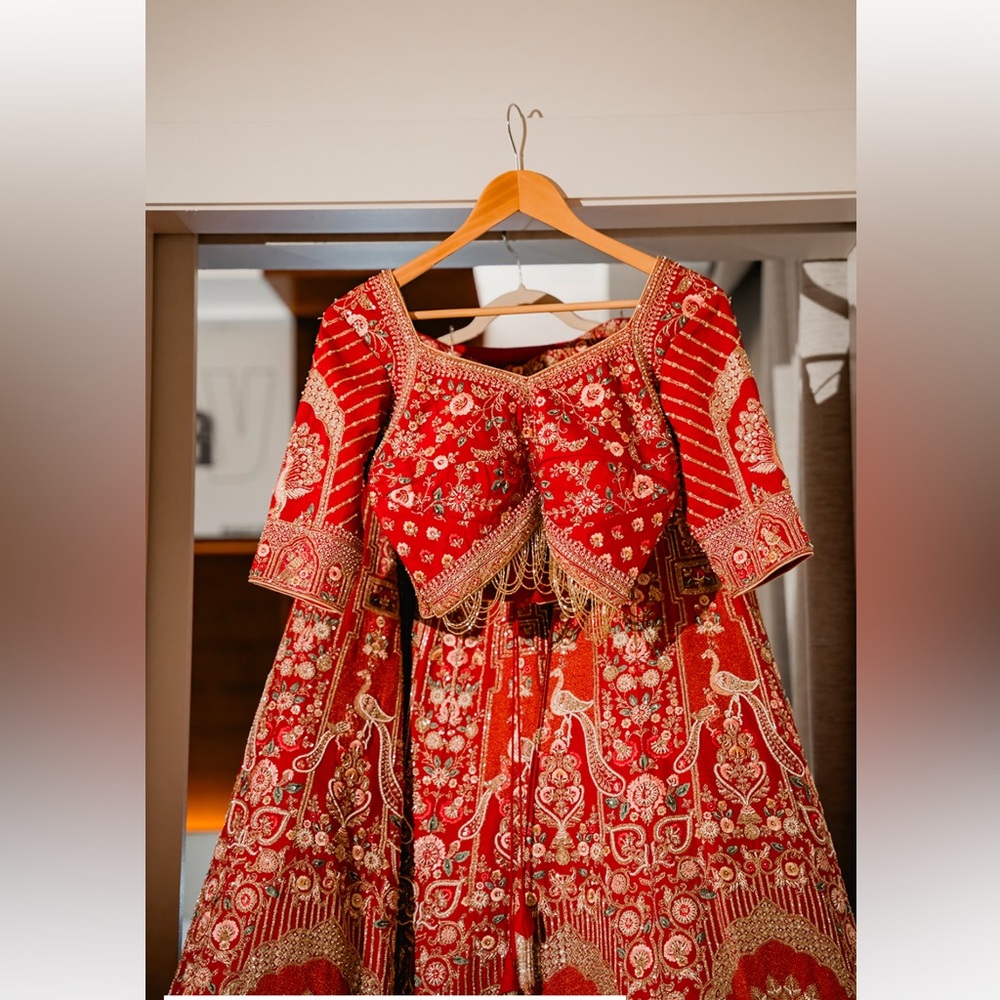 Red and Gold Embroidered bridal Dress - Picture 2 of 10